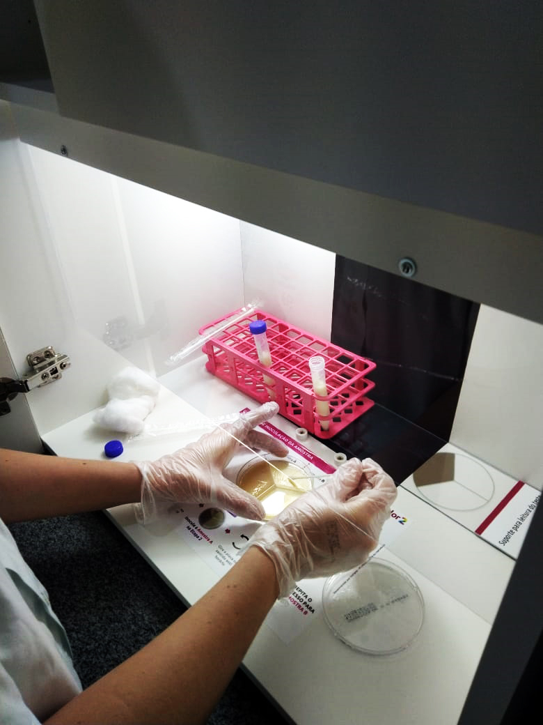 Cooperativa disponibiliza ferramenta para detectar causa da mastite em até 24h