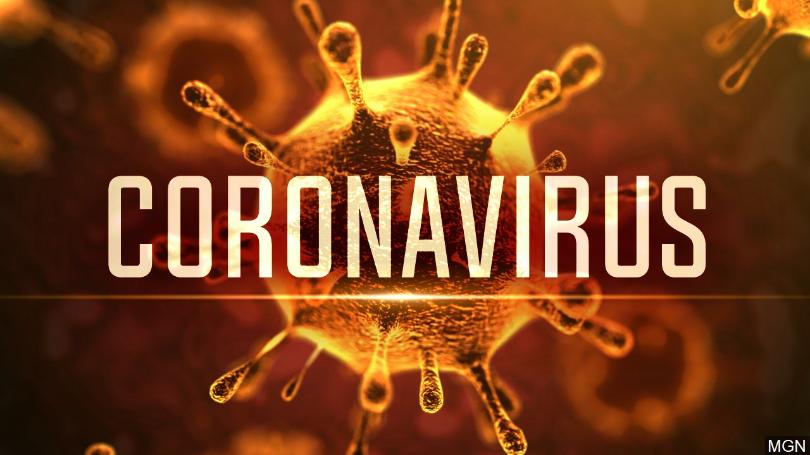 Coronavírus: Assembleia Legislativa aprova estado de calamidade pública no ES