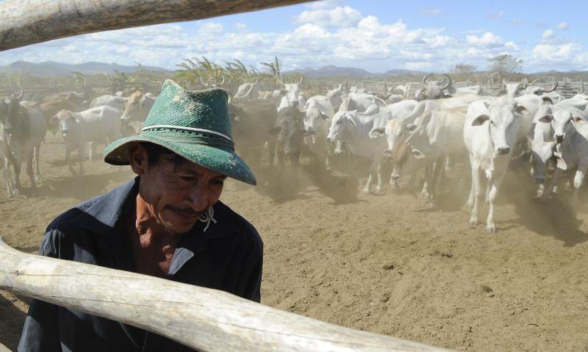 Chegada do inverno pode interferir na produtividade no campo