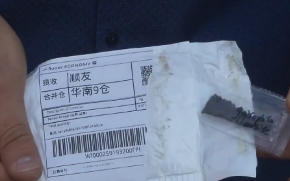 Sementes misteriosas: 47% das amostras analisadas apresentam risco às lavouras do país, diz ministério