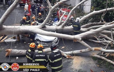 corpo de bombeiros do estado de sao paulo sp 01122000602 400x255 - Queda de árvore mata mulher atingida dentro de carro em São Paulo