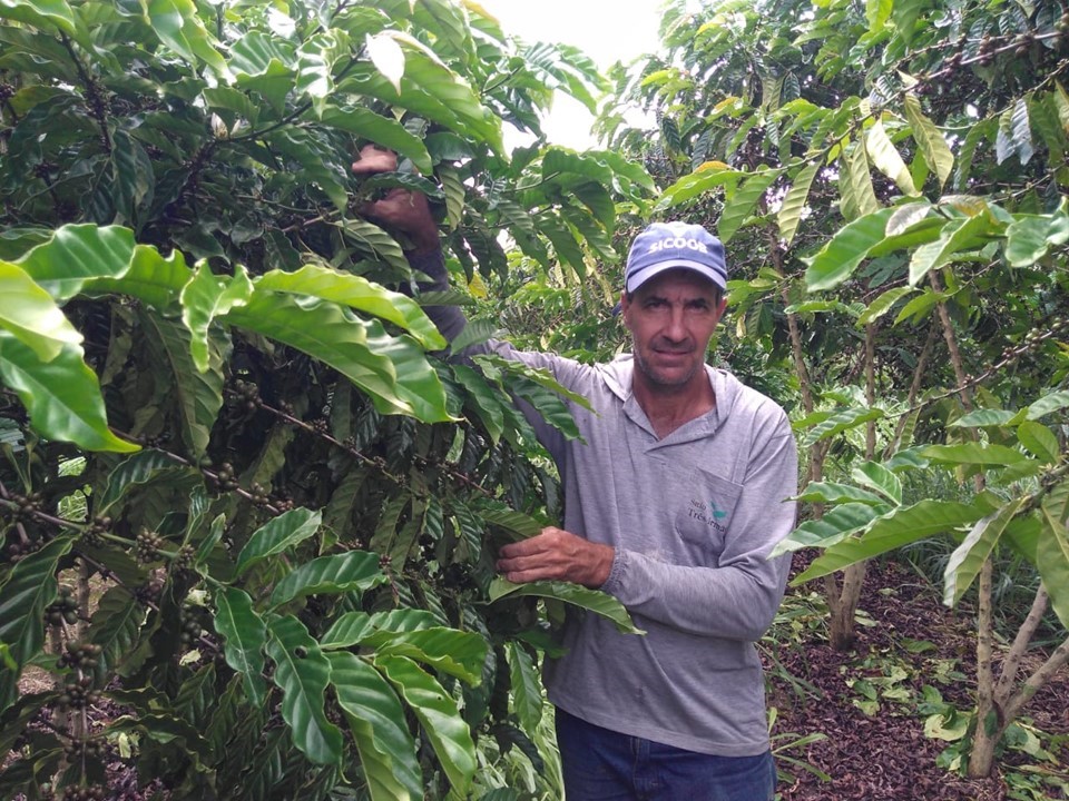 Produção de café sustentável e tecnológica recebe suporte do Incaper em Sooretama