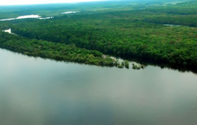 Amazonas 400x255 - Conselho do PPI recomenda concessão de florestas no Amazonas