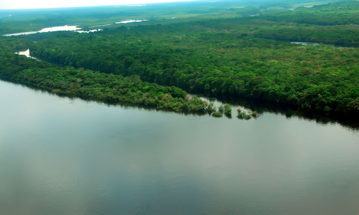 Conselho do PPI recomenda concessão de florestas no Amazonas