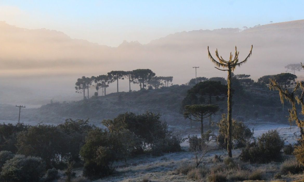Massa de ar polar provoca frio intenso durante a semana no país