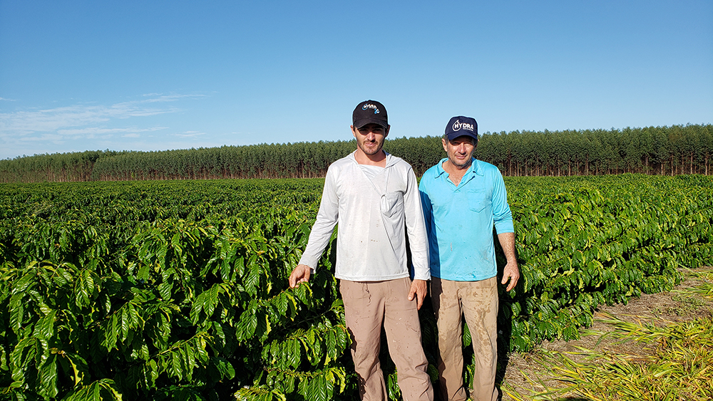 Pai e filho trabalham juntos para ampliar produção de café no ES