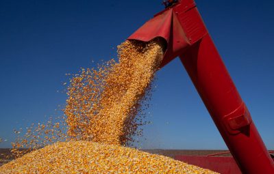 graos 400x255 - IBGE prevê safra recorde de grãos em 2022