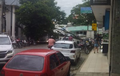 arvore cai em iconha 400x255 - Arvore cai e interdita rua no Centro de Iconha