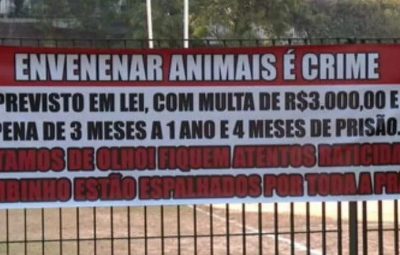 295987411 462339002565645 5994016974265009702 n 780x442 1 400x255 - Cães estão sendo envenenados em Bairros de Iconha