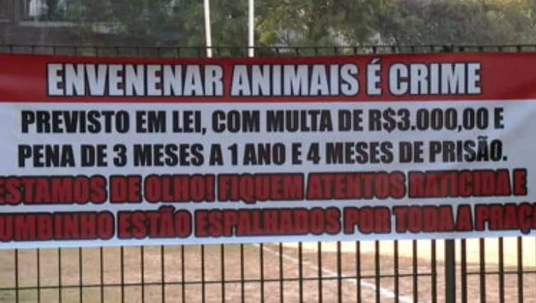 Cães estão sendo envenenados em Bairros de Iconha