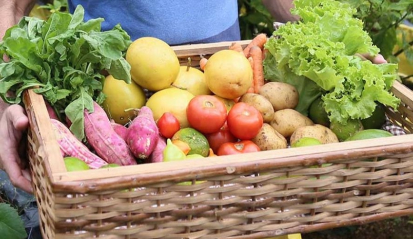3100 3bdb132f156d822f31167afaa6b4aab2 - Em Anchieta Vereador Pablo Florentino quer a volta da Festa da Agricultura Familiar.