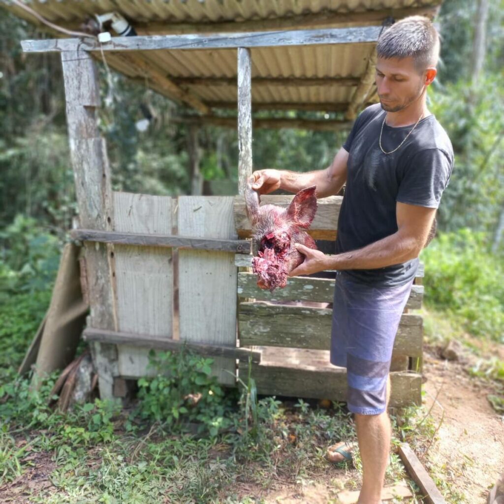 WhatsApp Image 2023 06 05 at 13.51.361 1024x1024 1 - Agricultor flagra onça-pintada atacando uma porca no interior Espírito Santo