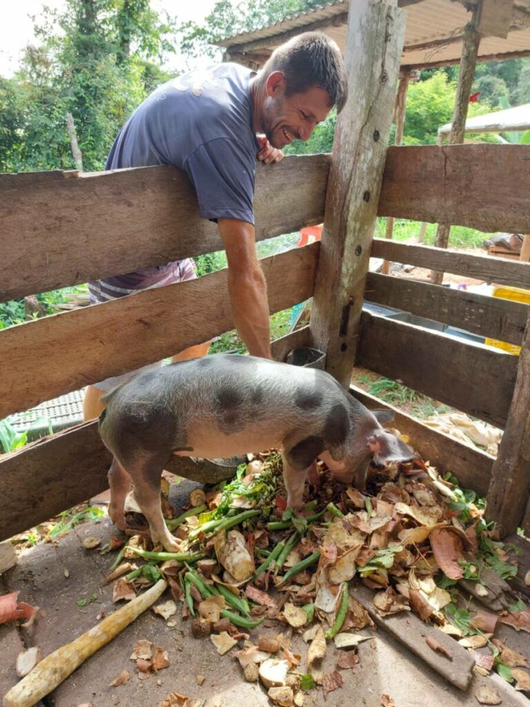 WhatsApp Image 2023 06 05 at 13.53.35 768x1024 1 - Agricultor flagra onça-pintada atacando uma porca no interior Espírito Santo