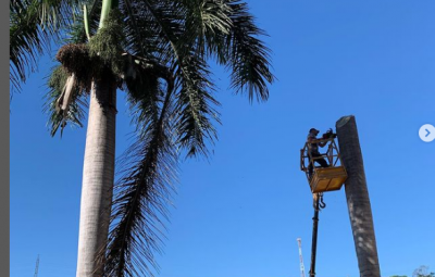 arvores 01 400x255 - Árvores da escadaria da Igreja Matriz de Iconha são cortadas por medidas de segurança