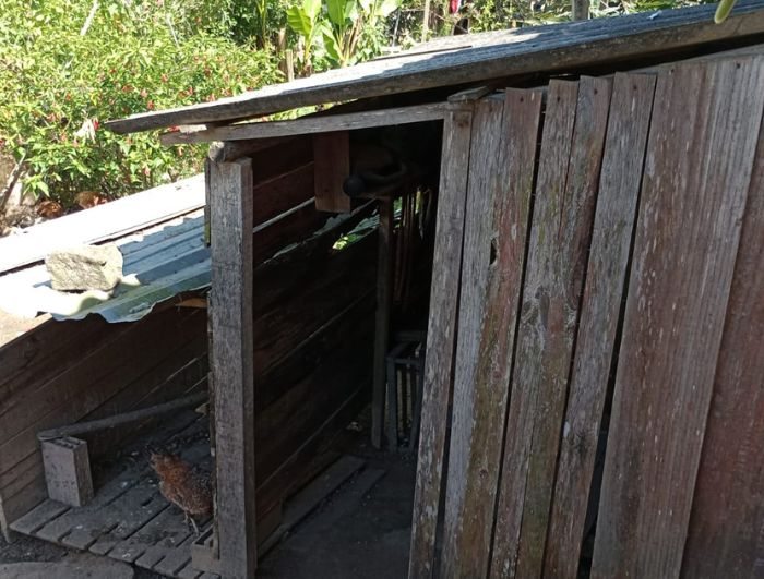 Sobrou até para as galinhas: Em Vargem Alta, galinheiro tem que pagar IPTU