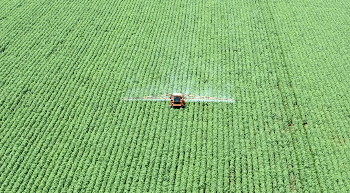 Exportações do agronegócio brasileiro chegam a US$ 82,3 bilhões no semestre, aponta Mapa