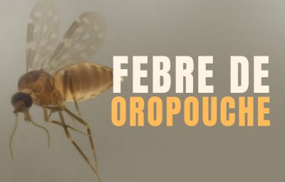 banner site oropouche 400x255 - Febre do oropouche vira surto e assustam moradores de Iconha