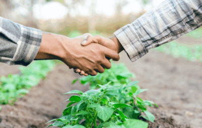 agro 400x255 - Espírito Santo bate recorde e lidera crescimento na aplicação de crédito rural no País