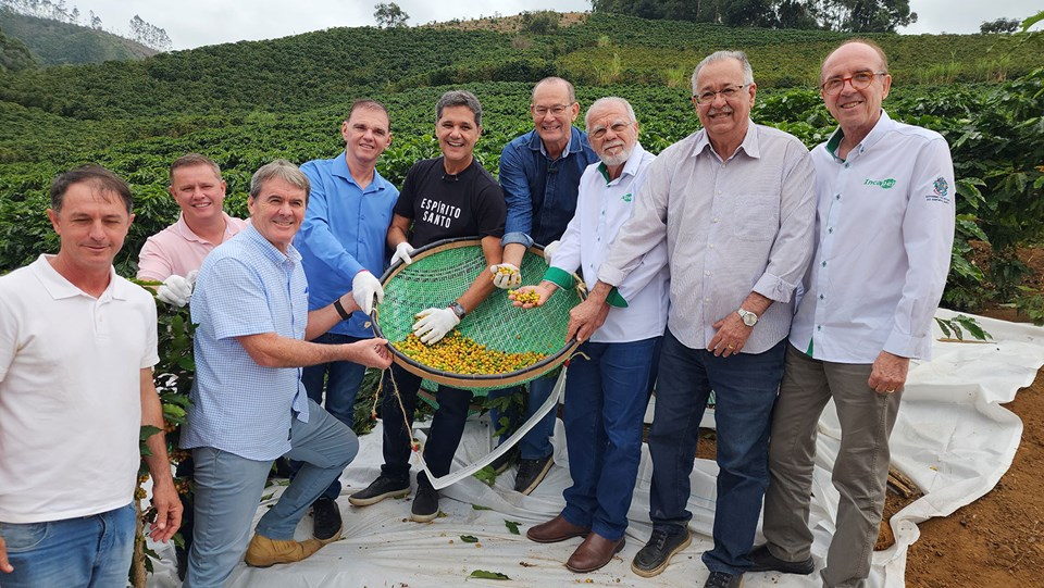 Espírito Santo inicia colheita da safra 2025 de café arábica
