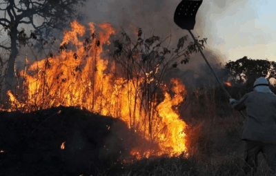 incendio 400x255 - Ibama multa 242 pessoas por incêndios criminosos em 2024