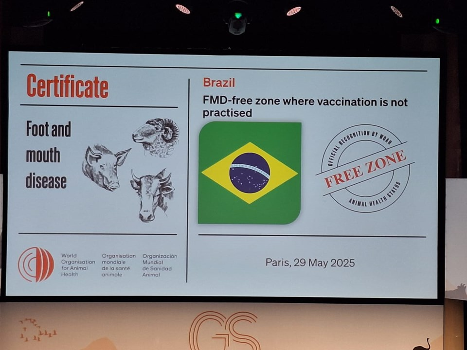 Reconhecimento internacional: Espírito Santo é livre de febre aftosa sem vacinação