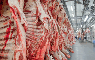 carne 400x255 - Exportação de carne bovina bate recorde em mês anterior ao tarifaço