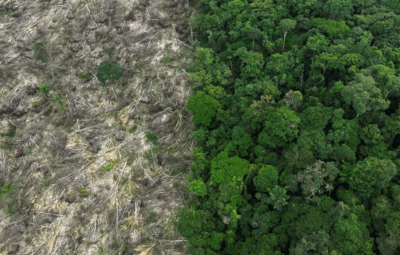 desmatamento 400x255 - Brasil perdeu 111,7 milhões de hectares de áreas naturais em 40 anos