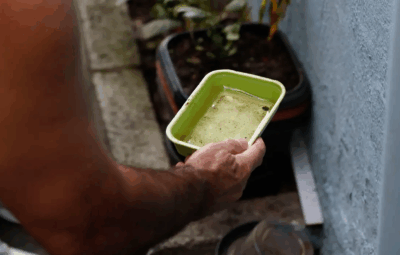 Chikungunya traz preocupações após uma década de presença no Brasil chinckingunha 400x255 - Chikungunya traz preocupações após uma década de presença no Brasil