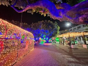 WhatsApp Image 2025 11 29 at 11.32.22 300x225 - Iconha abre oficialmente o Natal Iluminado com noite de fé, superação e encantamento