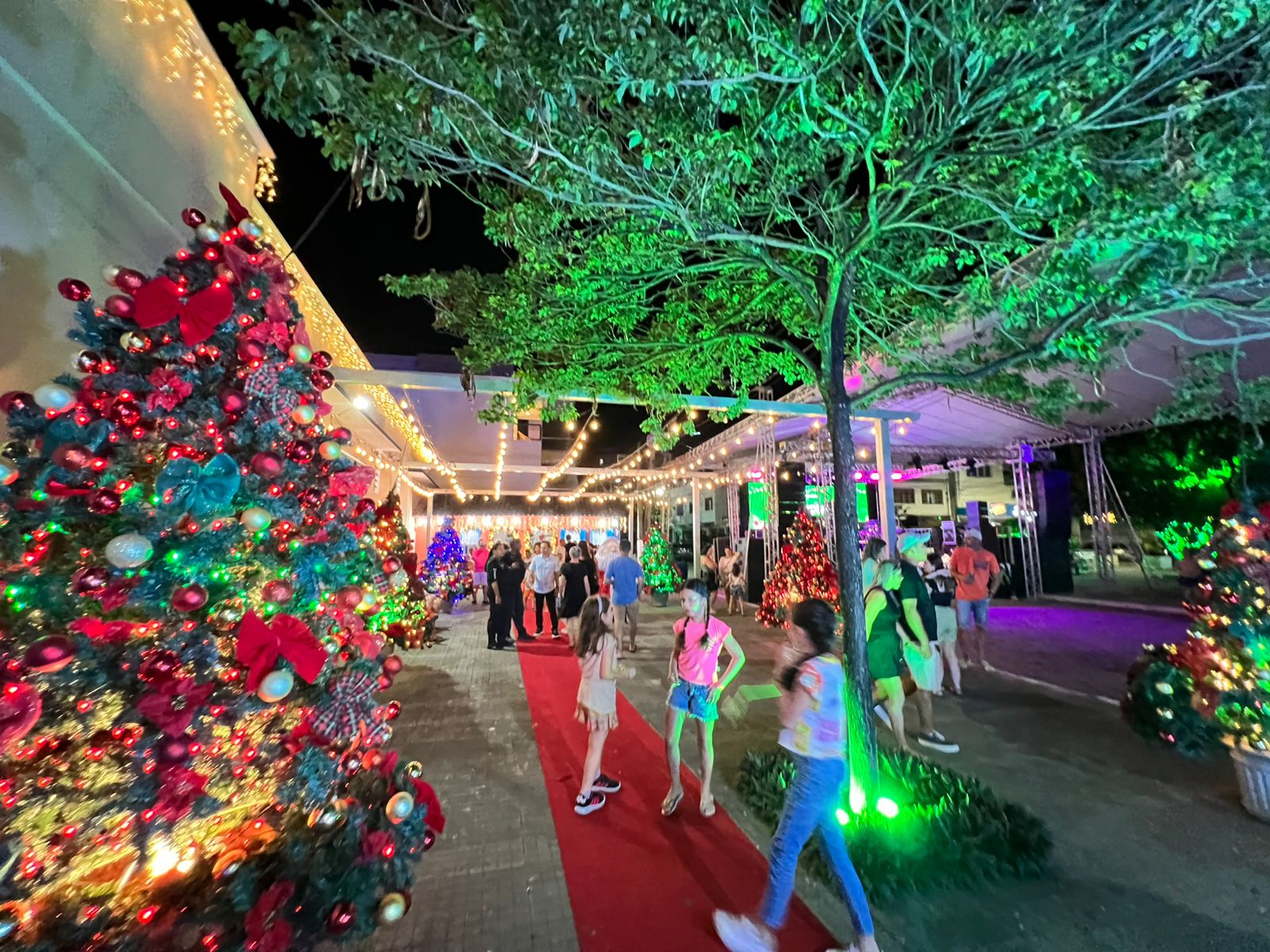 Iconha abre oficialmente o Natal Iluminado com noite de fé, superação e encantamento