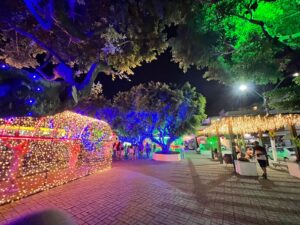 WhatsApp Image 2025 11 29 at 11.32.44 300x225 - Iconha abre oficialmente o Natal Iluminado com noite de fé, superação e encantamento