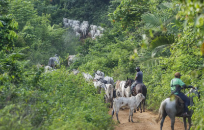 para 400x255 - Operação em terra indígena no Pará resulta em mais um assassinato