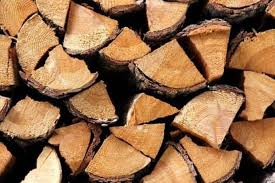 exportacoes - Exportações de madeira, papel e celulose crescem 7,3% no 1º semestre