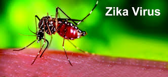 Sesa divulga boletim de Zika