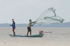 Licença para pesca amadora volta a ser emitida em endereço eletrônico Licença para pesca amadora volta a ser emitida em endereço eletrônico - Licença para pesca amadora volta a ser emitida em endereço eletrônico