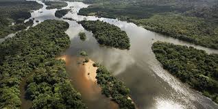 Reserva no Amazonas - Quem cuida da Amazônia brasileira é o Brasil, diz ministro do GSI