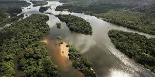 Reserva no Amazonas - Reserva no Amazonas zera desmatamento e é considerada modelo no país e no mundo