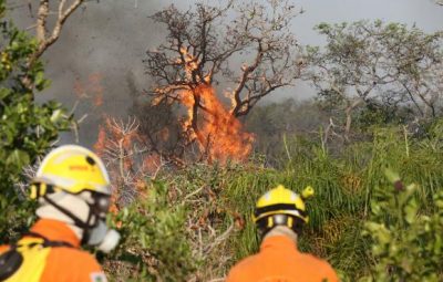 incendio no parque nacional de Brasilia 400x255 - Parque Nacional de Brasília já teve 10% da área atingida pelo fogo