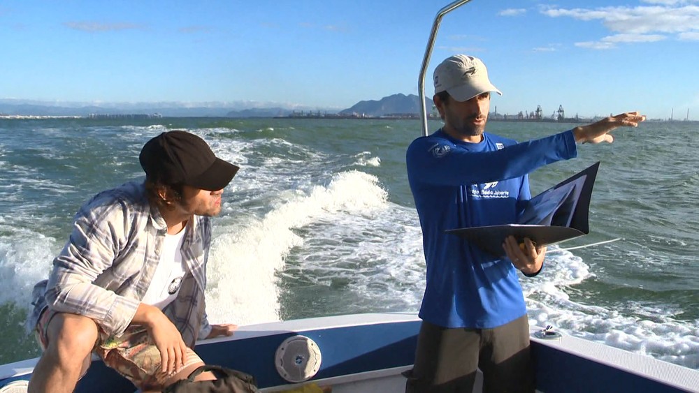 Pesquisador do ES registra o canto das baleias em Abrolhos
