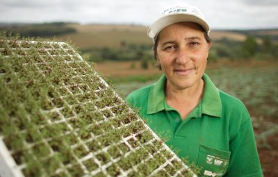 nova legislacao agiliza producao e comercio de mudas e sementes 400x255 - Nova legislação agiliza produção e comércio de mudas e sementes