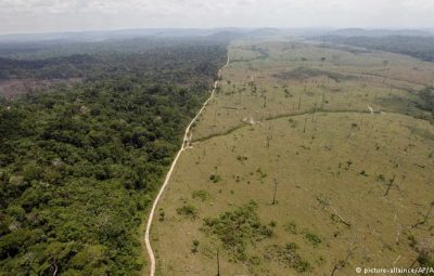 Floresta Nacional Jamanxim 400x255 - Estudo lançado na COP23 indica caminhos para o Brasil zerar  o desmatamento na Amazônia