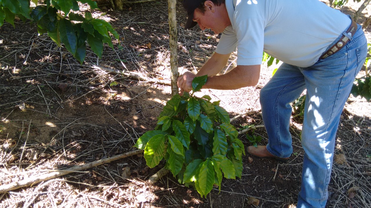 Produtor rural do ES monta pequena agroindústria de café com apoio do Senar-ES