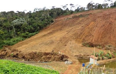 BPMA flagra área desmatada em Itarana 400x255 - BPMA flagra área desmatada em Itarana