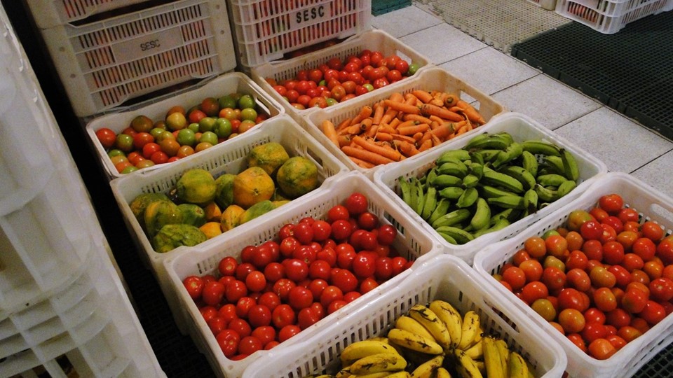 Programa social arrecada alimentos e doa para mais de 21 mil pessoas