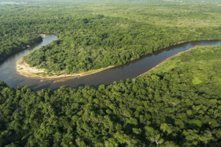 WWF-Brasil alerta: 40% do planalto pantaneiro está em alto risco