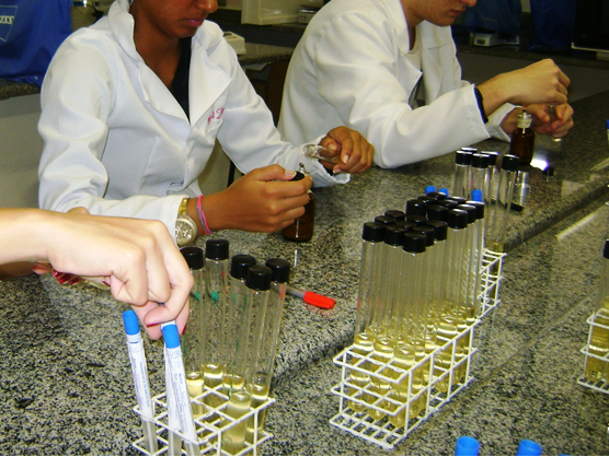 Oportunidade para jovens pesquisadores