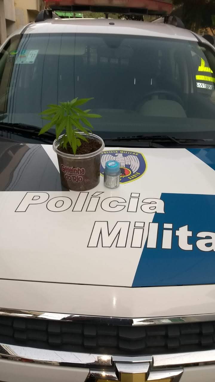 POLÍCIA MILITAR APREENDE ENTORPECENTES EM ICONHA