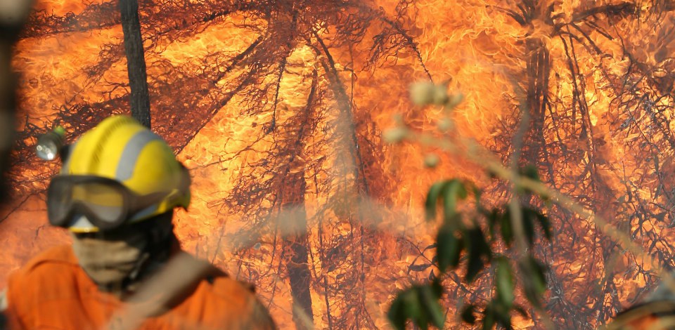 Saiba como prevenir queimadas na sua região