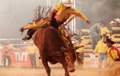 Rodeios e Shows sertanejos vão agitar festa Agropecuária em Iconha 400x255 - Rodeios e Shows sertanejos vão agitar festa Agropecuária em Iconha