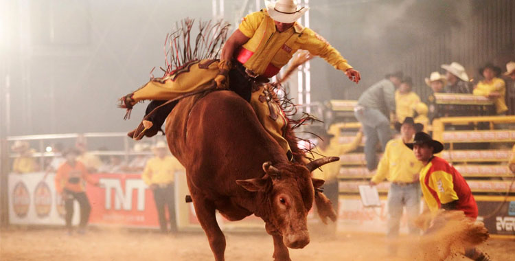 Rodeios e Shows sertanejos vão agitar festa Agropecuária em Iconha